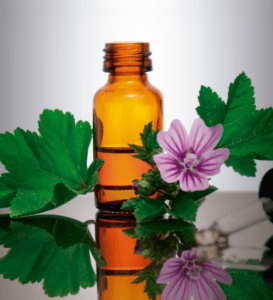 Essential Oils at Long Island Holistic Doctor